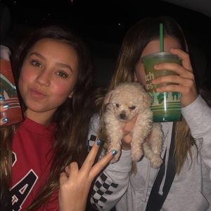 Meet your Posher, Claire